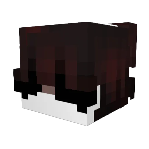 sebas121011 Minecraft avatar head, 3D render
