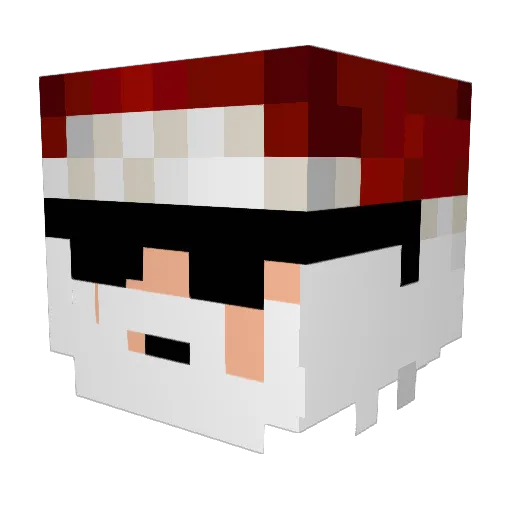 sebasgamer89 Minecraft avatar head, 3D render