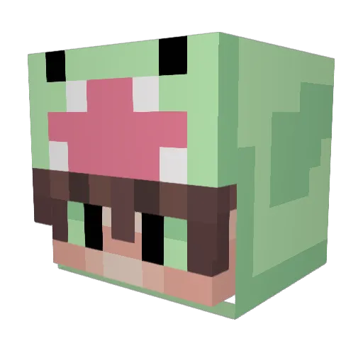 sebasrpg123 Minecraft avatar head, 3D render
