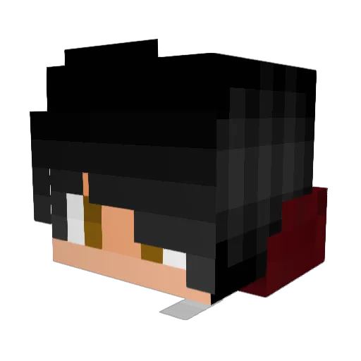 sebass263 Minecraft avatar head, 3D render