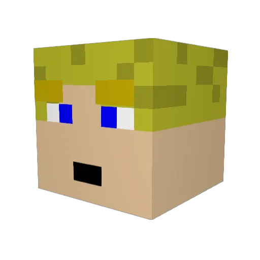 sebastian0503 Minecraft avatar head, 3D render