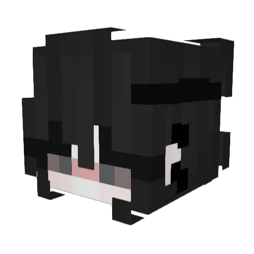 sebastiando Minecraft avatar head, 3D render