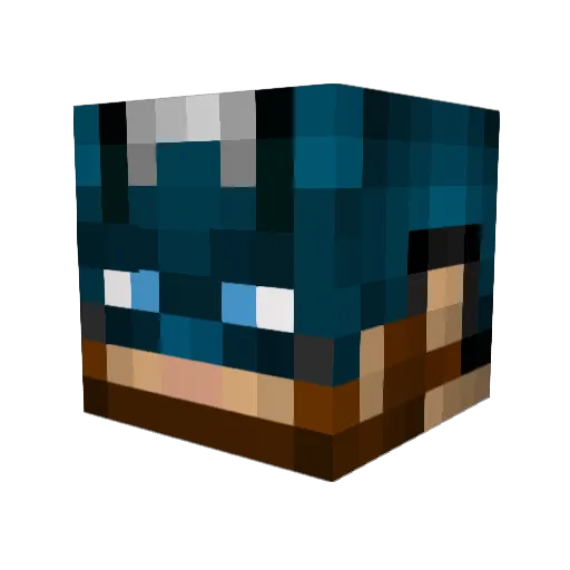 sebastin1919 Minecraft avatar head, 3D render
