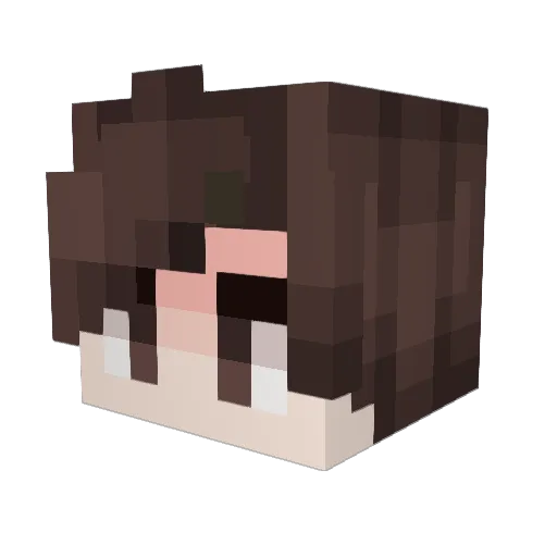 sebasxd150 Minecraft avatar head, 3D render
