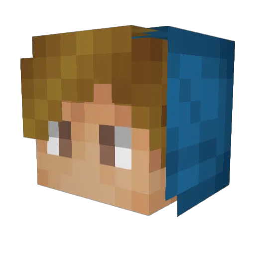 sebax905 Minecraft avatar head, 3D render