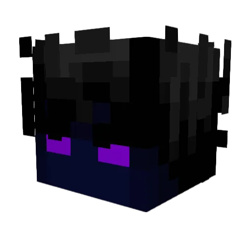 sebbel1511 Minecraft avatar head, 3D render