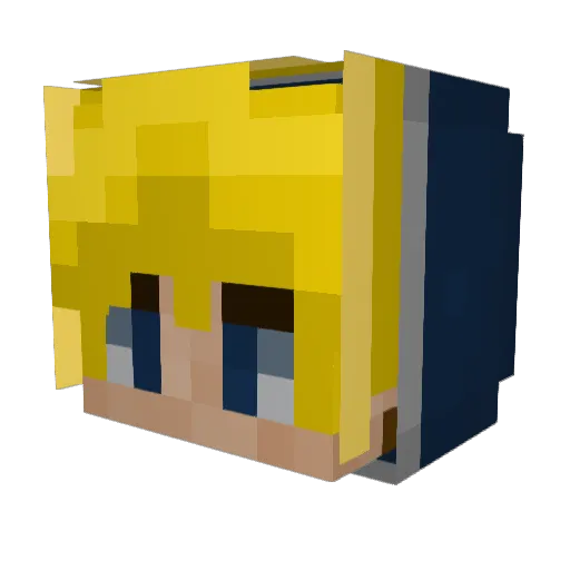 sebcooleo Minecraft avatar head, 3D render