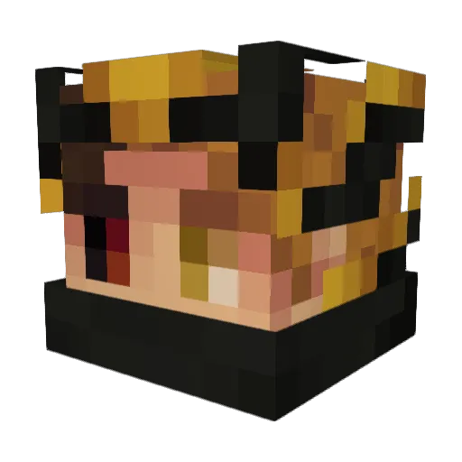 sebifrmdao Minecraft avatar head, 3D render