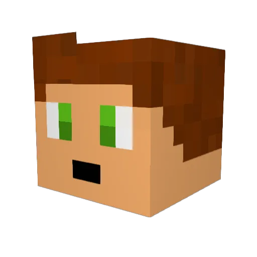 sebilikesfy Minecraft avatar head, 3D render