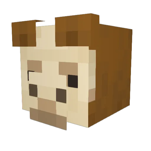 sebjdz Minecraft avatar head, 3D render