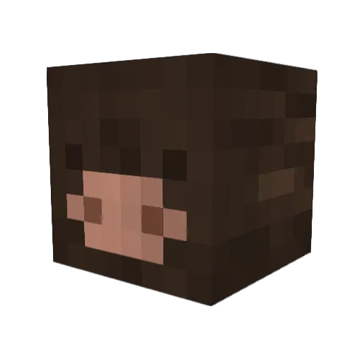 sebnation76 Minecraft avatar head, 3D render