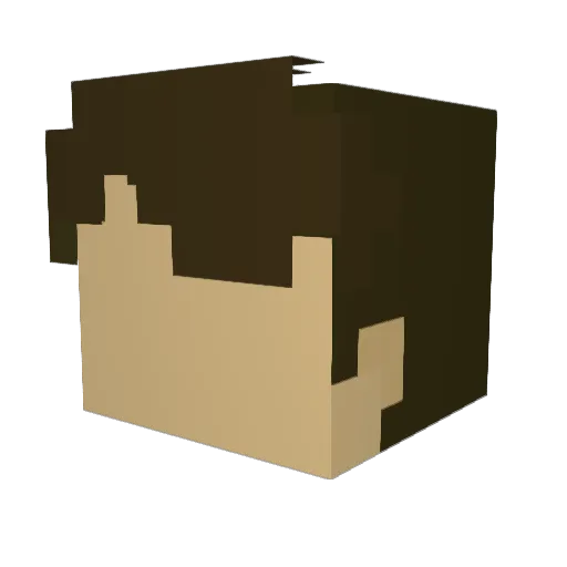 sebpro3_REAL Minecraft avatar head, 3D render