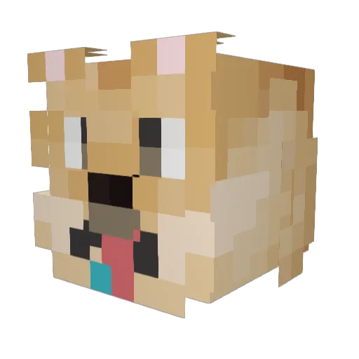 secante Minecraft avatar head, 3D render