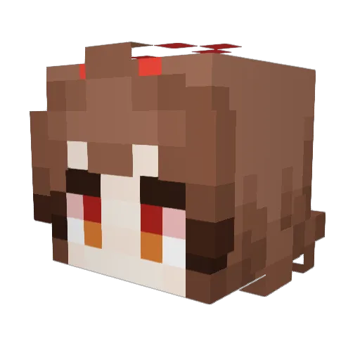secretduck Minecraft avatar head, 3D render