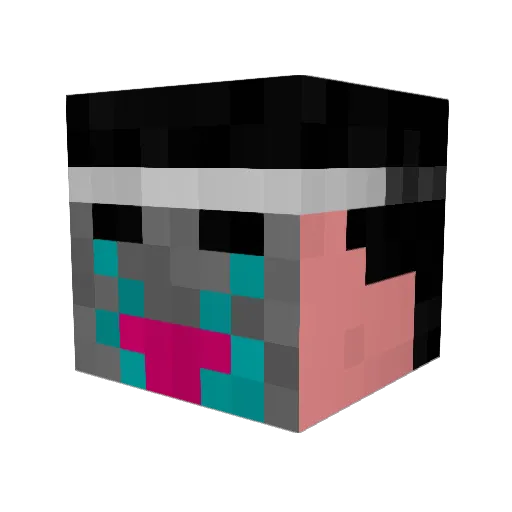 secretguy56 Minecraft avatar head, 3D render