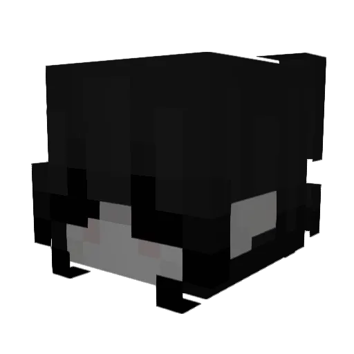 secretmintz Minecraft avatar head, 3D render