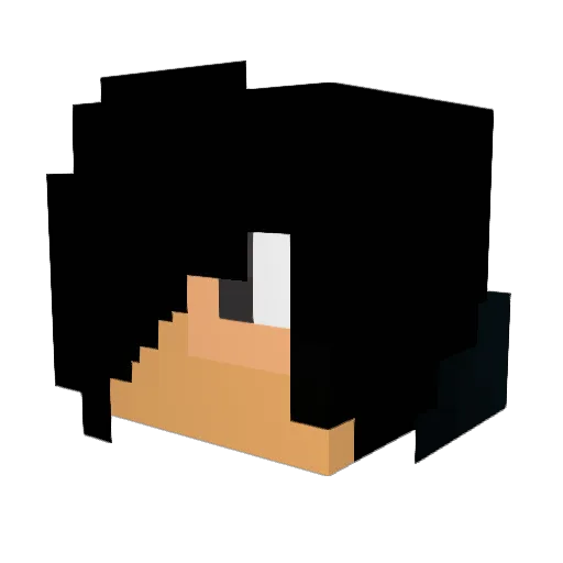 secretwisdom Minecraft avatar head, 3D render