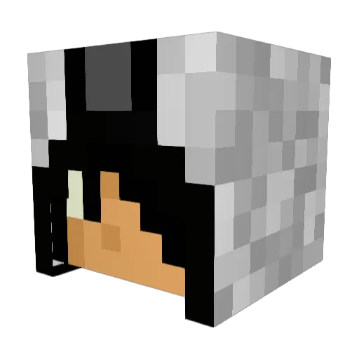 secretx511 Minecraft avatar head, 3D render
