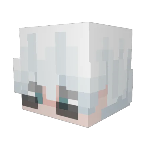 secse Minecraft avatar head, 3D render