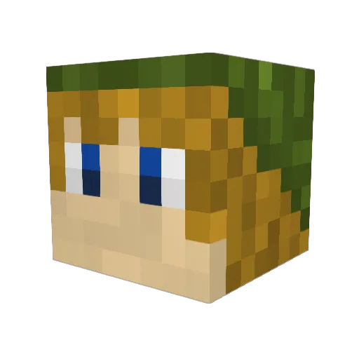 securewanko Minecraft avatar head, 3D render