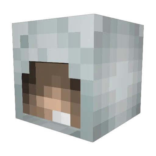 sedai6 Minecraft avatar head, 3D render