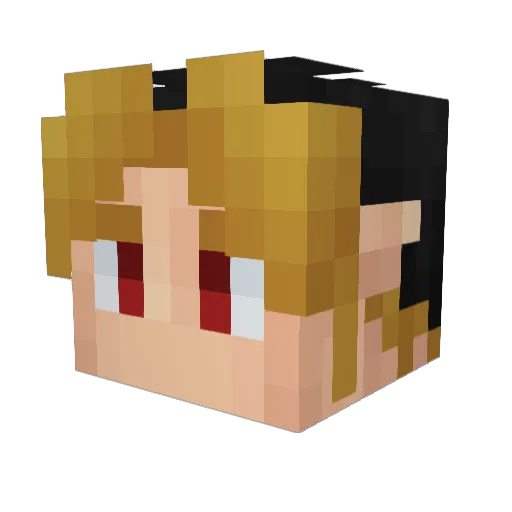 sedlejack Minecraft avatar head, 3D render