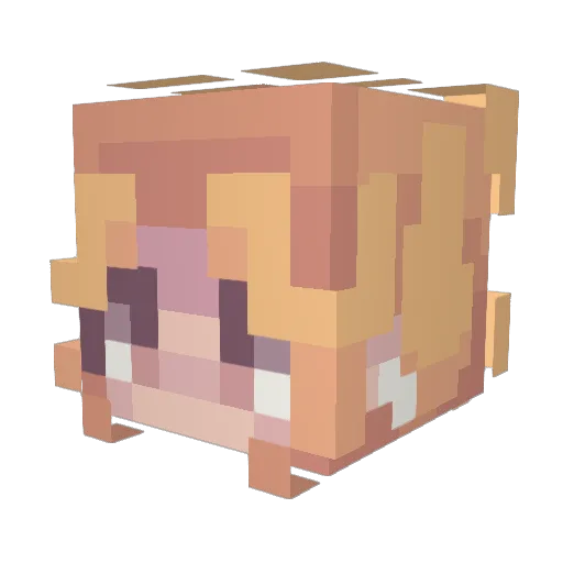 sedoma Minecraft avatar head, 3D render