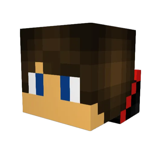 seeDOG569 Minecraft avatar head, 3D render