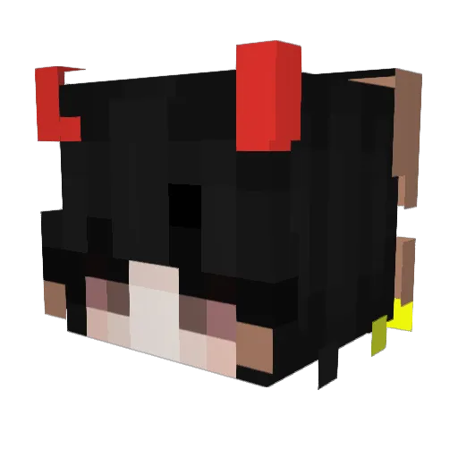 see_through838 Minecraft avatar head, 3D render