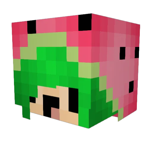 seedspace Minecraft avatar head, 3D render