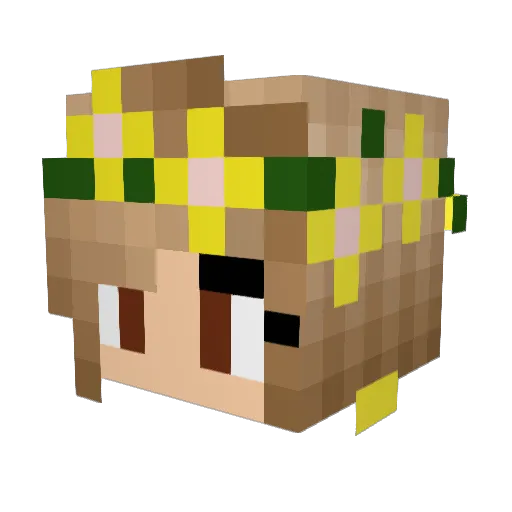 seedy48 Minecraft avatar head, 3D render