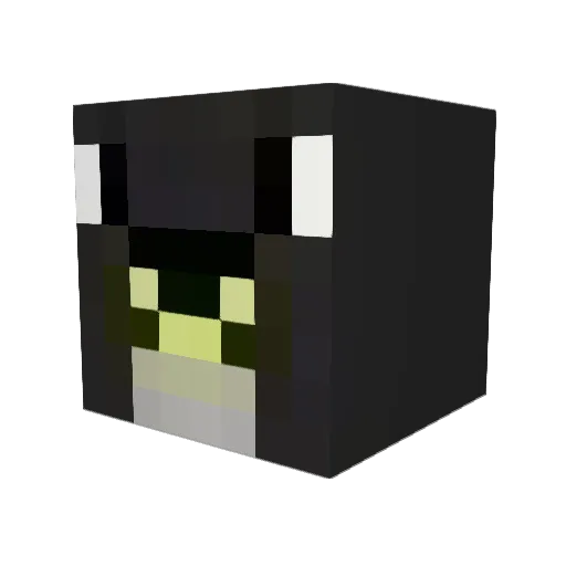seeker21828 Minecraft avatar head, 3D render