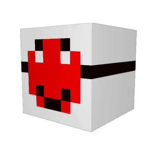 seekerslasher9 Minecraft avatar head, 3D render