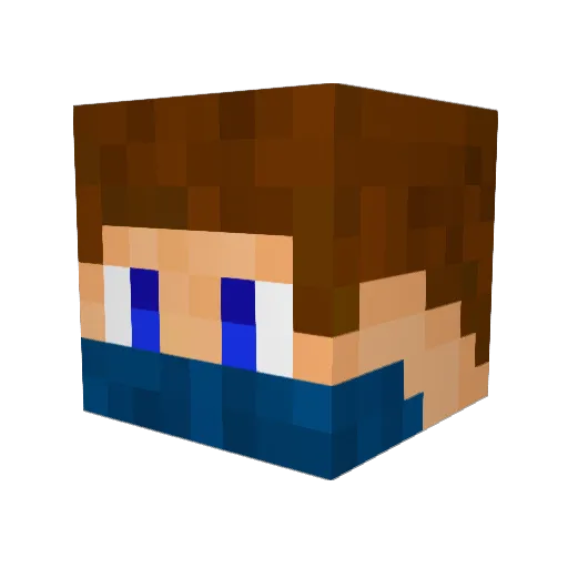 seekerz21 Minecraft avatar head, 3D render
