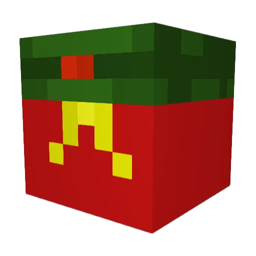 seekwww Minecraft avatar head, 3D render
