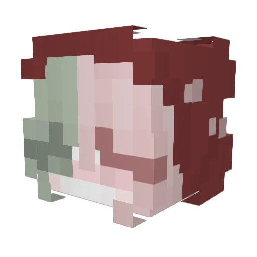 seelee_op Minecraft avatar head, 3D render