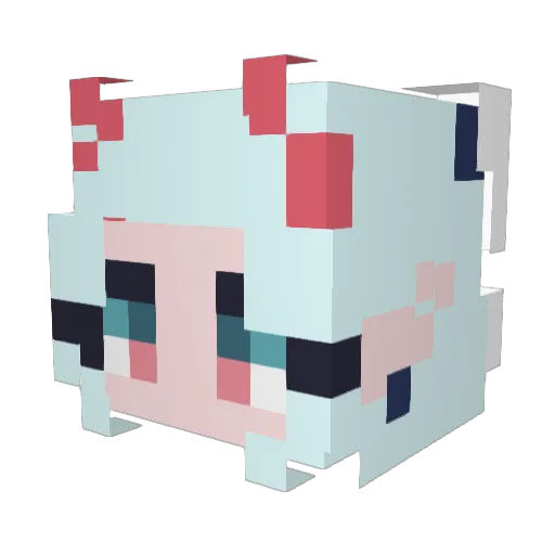 seeliewe Minecraft avatar head, 3D render