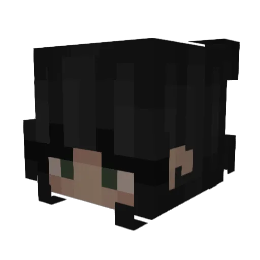 seelli Minecraft avatar head, 3D render