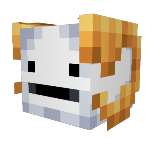 seemo226 Minecraft avatar head, 3D render