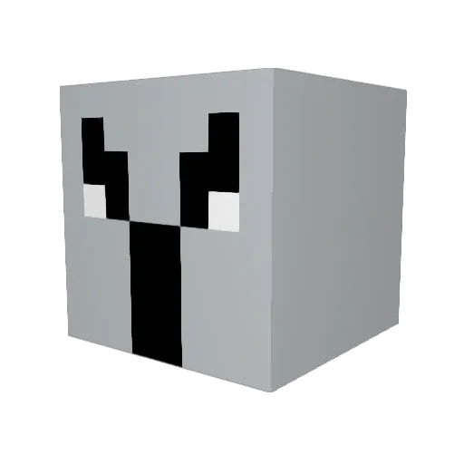 seeshhhhhh Minecraft avatar head, 3D render