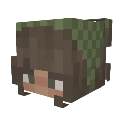 seewaed Minecraft avatar head, 3D render