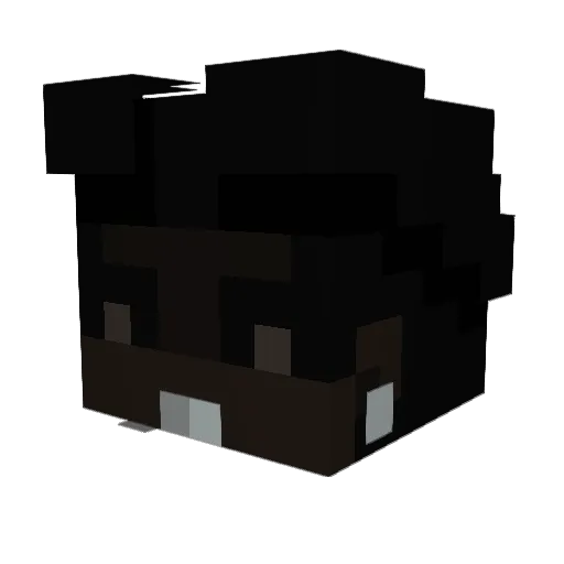 seewl Minecraft avatar head, 3D render