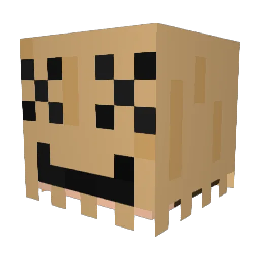 seeyalailaa Minecraft avatar head, 3D render