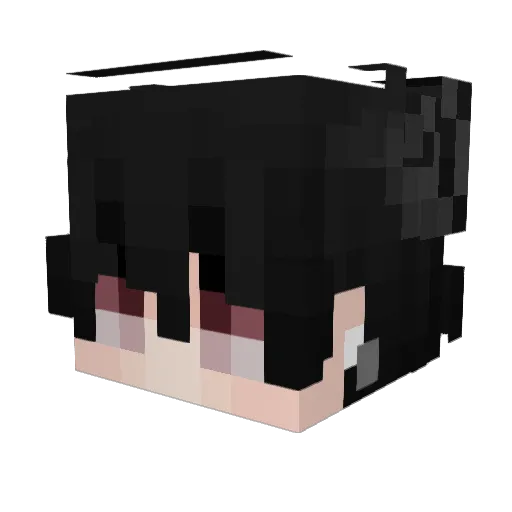 sefaLAW Minecraft avatar head, 3D render