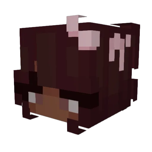 sefarter Minecraft avatar head, 3D render