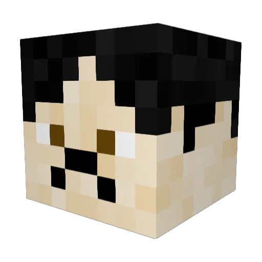 seffoe Minecraft avatar head, 3D render