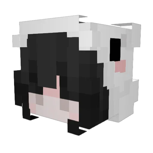 sefty1611 Minecraft avatar head, 3D render