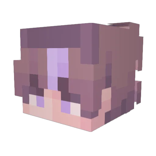 sefty_tv Minecraft avatar head, 3D render