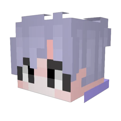 segael41 Minecraft avatar head, 3D render