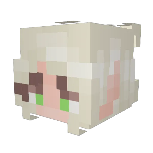 seggsylettuce Minecraft avatar head, 3D render